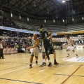 Castellón, deportes 2013