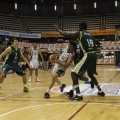 Castellón, deportes 2013