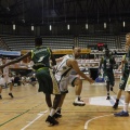 Castellón, deportes 2013