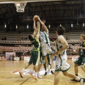 Castellón, deportes 2013