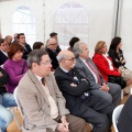 Arte rupestre en la provincia de Castellón