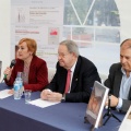 Arte rupestre en la provincia de Castellón