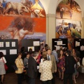 Castellón, 2013