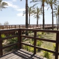 Castellón, Benicàssim Negre