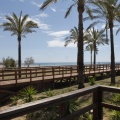 Castellón, Benicàssim Negre