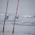 Castellón, Campeonato Nacional de Pesca 2013