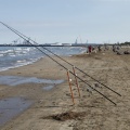 Castellón, Campeonato Nacional de Pesca 2013