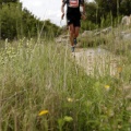 Marató i Mitja Castelló-Penyagolosa