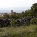 Marató i Mitja Castelló-Penyagolosa
