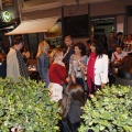 Simago Lemon´s