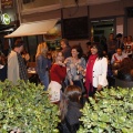 Simago Lemon´s